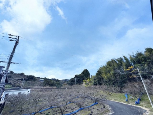 眺望