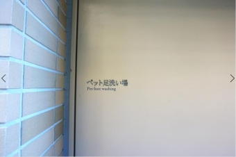 ペット足洗い場1